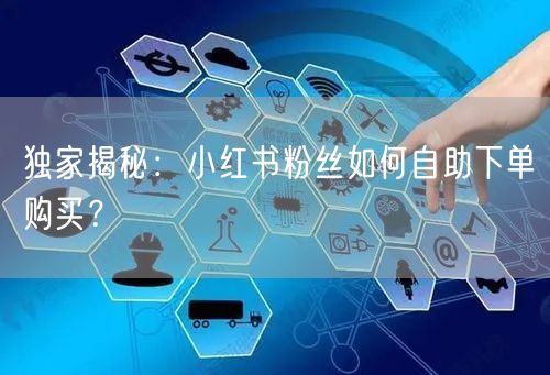 独家揭秘：小红书粉丝如何自助下单购买？