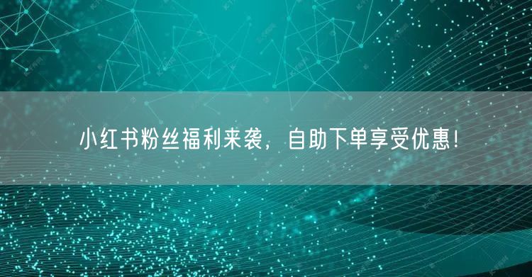 小红书粉丝福利来袭，自助下单享受优惠！
