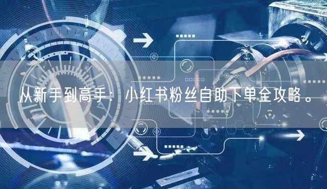 从新手到高手：小红书粉丝自助下单全攻略。