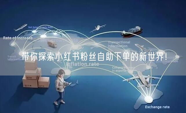 带你探索小红书粉丝自助下单的新世界！