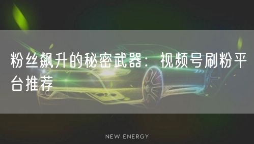 粉丝飙升的秘密武器：视频号刷粉平台推荐
