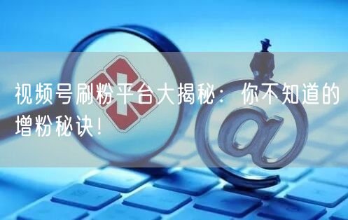 视频号刷粉平台大揭秘：你不知道的增粉秘诀！
