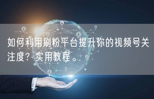 如何利用刷粉平台提升你的视频号关注度？实用教程。