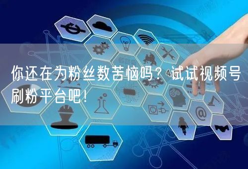 你还在为粉丝数苦恼吗？试试视频号刷粉平台吧！