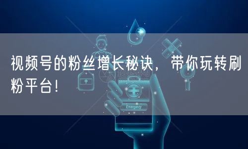 视频号的粉丝增长秘诀，带你玩转刷粉平台！