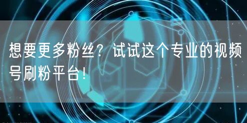 想要更多粉丝？试试这个专业的视频号刷粉平台！