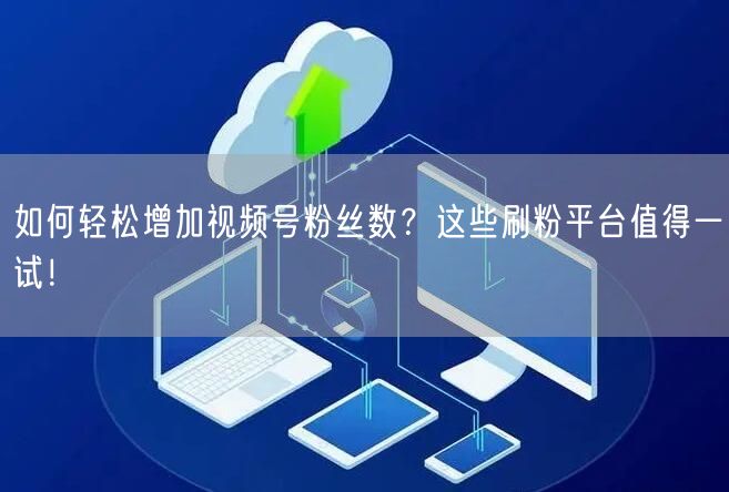 如何轻松增加视频号粉丝数？这些刷粉平台值得一试！