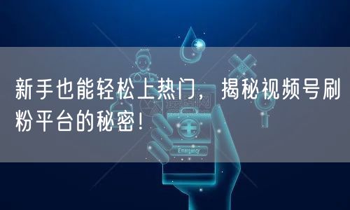 新手也能轻松上热门，揭秘视频号刷粉平台的秘密！
