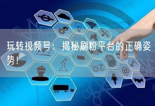 玩转视频号：揭秘刷粉平台的正确姿势！