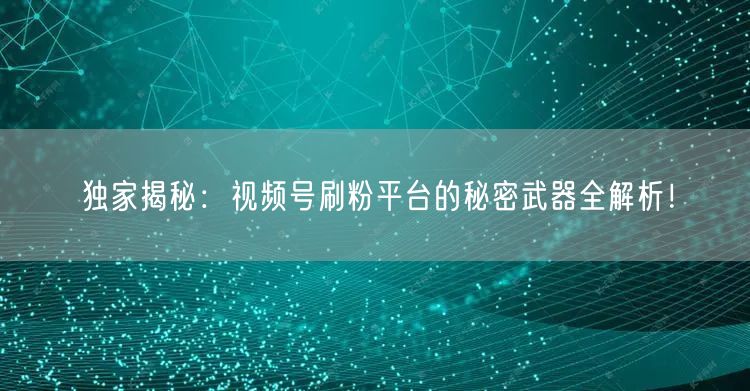 独家揭秘：视频号刷粉平台的秘密武器全解析！
