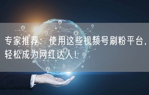 专家推荐：使用这些视频号刷粉平台，轻松成为网红达人！