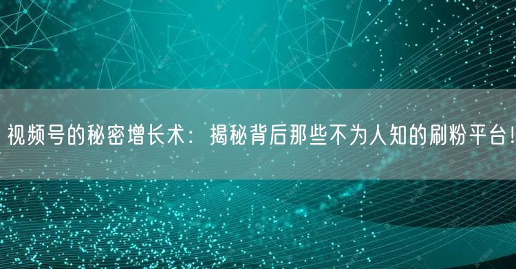 视频号的秘密增长术：揭秘背后那些不为人知的刷粉平台！