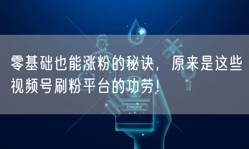 零基础也能涨粉的秘诀，原来是这些视频号刷粉平台的功劳！