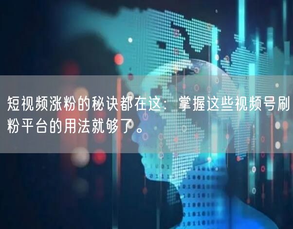 短视频涨粉的秘诀都在这：掌握这些视频号刷粉平台的用法就够了。