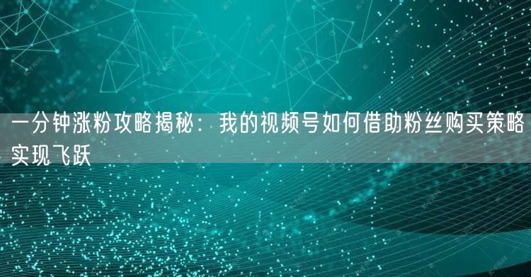 一分钟涨粉攻略揭秘：我的视频号如何借助粉丝购买策略实现飞跃