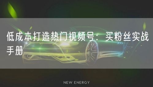 低成本打造热门视频号：买粉丝实战手册