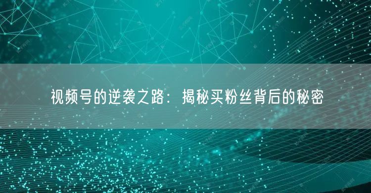 视频号的逆袭之路：揭秘买粉丝背后的秘密