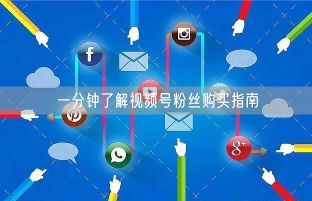 一分钟了解视频号粉丝购买指南