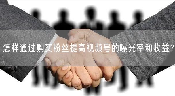 怎样通过购买粉丝提高视频号的曝光率和收益？