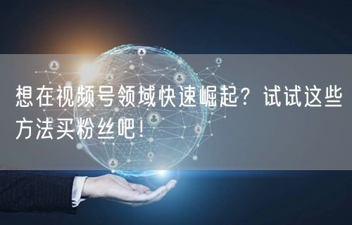 想在视频号领域快速崛起？试试这些方法买粉丝吧！