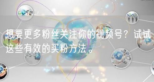 想要更多粉丝关注你的视频号？试试这些有效的买粉方法。