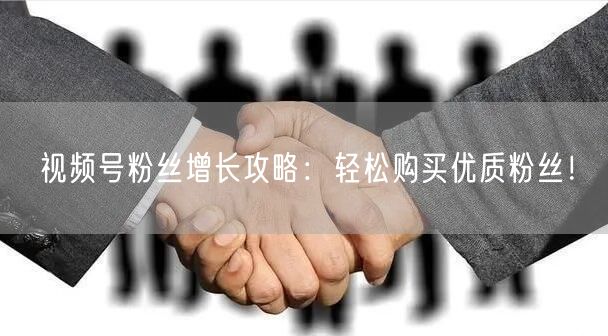 视频号粉丝增长攻略：轻松购买优质粉丝！