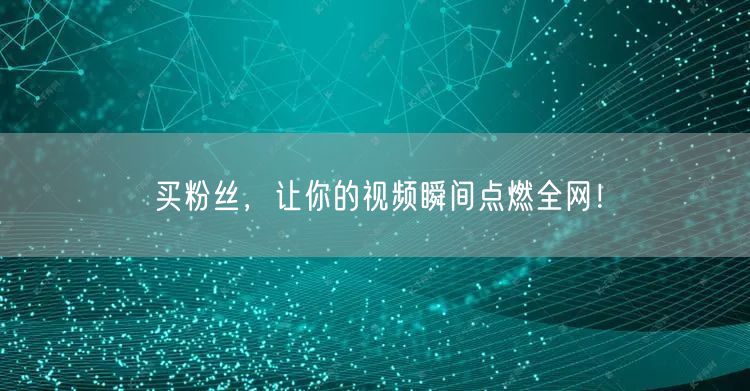 买粉丝，让你的视频瞬间点燃全网！