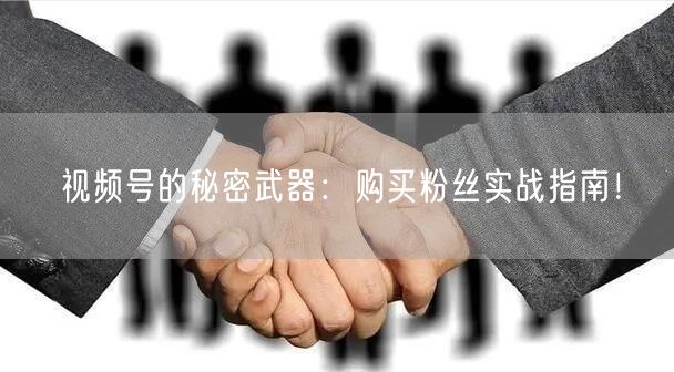 视频号的秘密武器：购买粉丝实战指南！