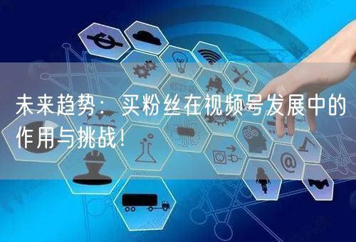 未来趋势：买粉丝在视频号发展中的作用与挑战！