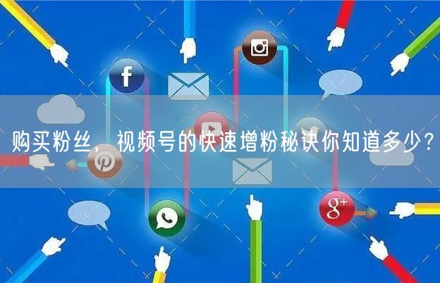 购买粉丝，视频号的快速增粉秘诀你知道多少？