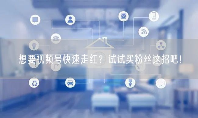 想要视频号快速走红？试试买粉丝这招吧！