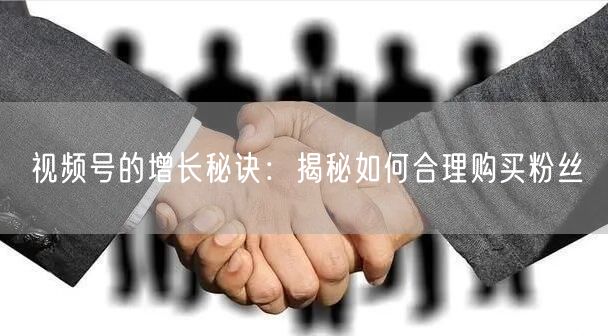 视频号的增长秘诀：揭秘如何合理购买粉丝