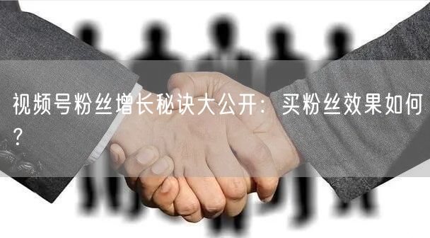 视频号粉丝增长秘诀大公开：买粉丝效果如何？
