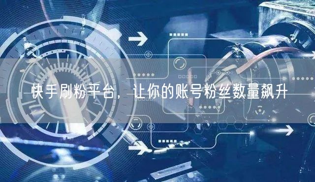 快手刷粉平台，让你的账号粉丝数量飙升