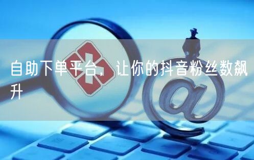 自助下单平台，让你的抖音粉丝数飙升