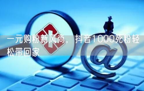 一元购粉新风尚，抖音1000死粉轻松带回家