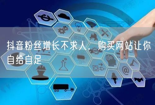 抖音粉丝增长不求人，购买网站让你自给自足