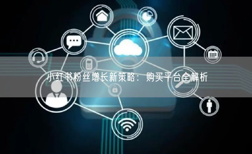 小红书粉丝增长新策略：购买平台全解析