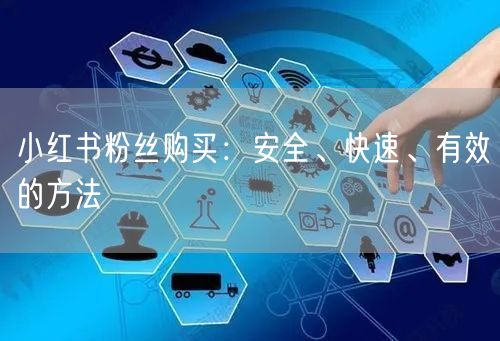小红书粉丝购买：安全、快速、有效的方法