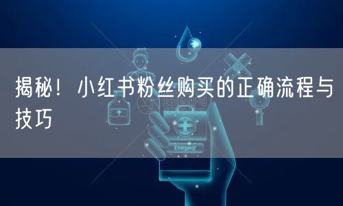 揭秘！小红书粉丝购买的正确流程与技巧