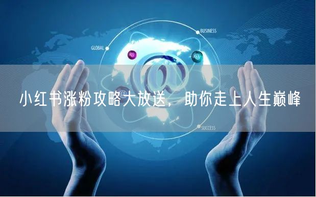 小红书涨粉攻略大放送，助你走上人生巅峰