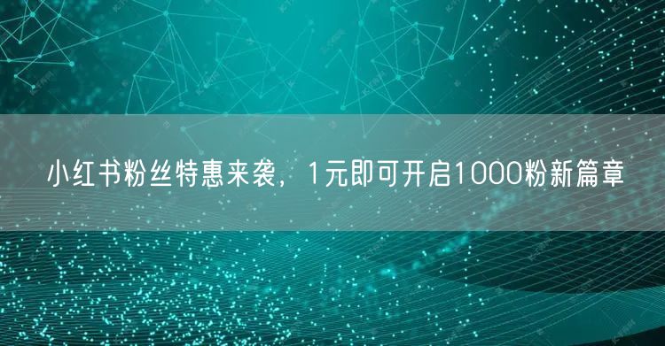 小红书粉丝特惠来袭，1元即可开启1000粉新篇章