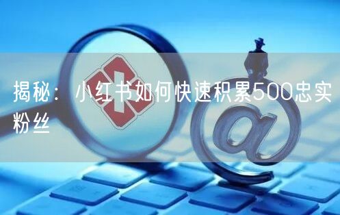 揭秘：小红书如何快速积累500忠实粉丝