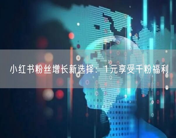 小红书粉丝增长新选择：1元享受千粉福利