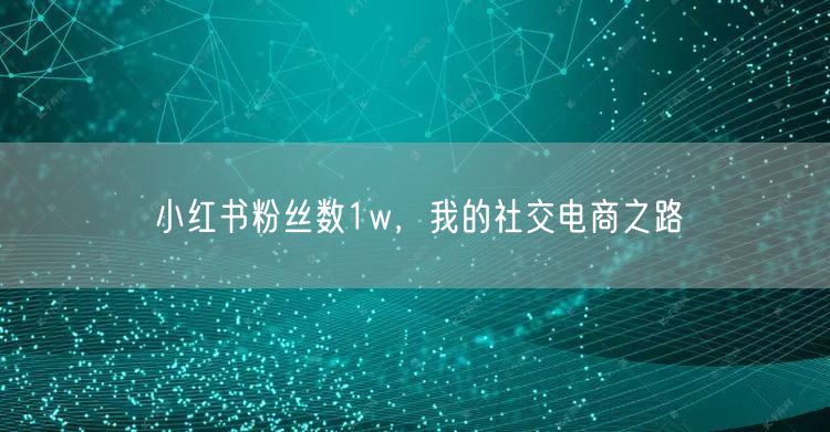小红书粉丝数1w，我的社交电商之路