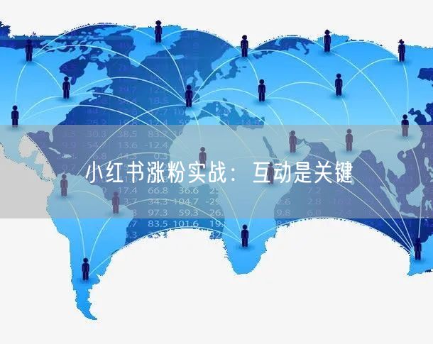 小红书涨粉实战：互动是关键