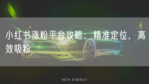 小红书涨粉平台攻略：精准定位，高效吸粉