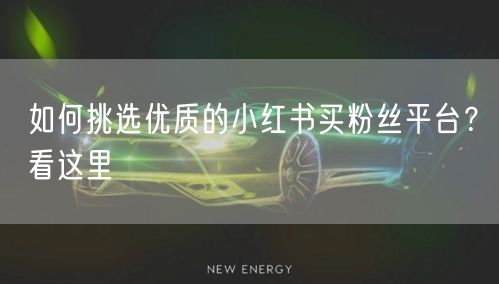 如何挑选优质的小红书买粉丝平台？看这里