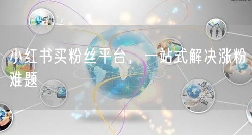 小红书买粉丝平台，一站式解决涨粉难题