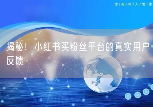 揭秘！小红书买粉丝平台的真实用户反馈